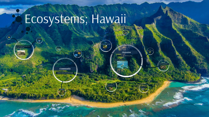 The Rich Flora And Fauna Of Hawaii's Big Island