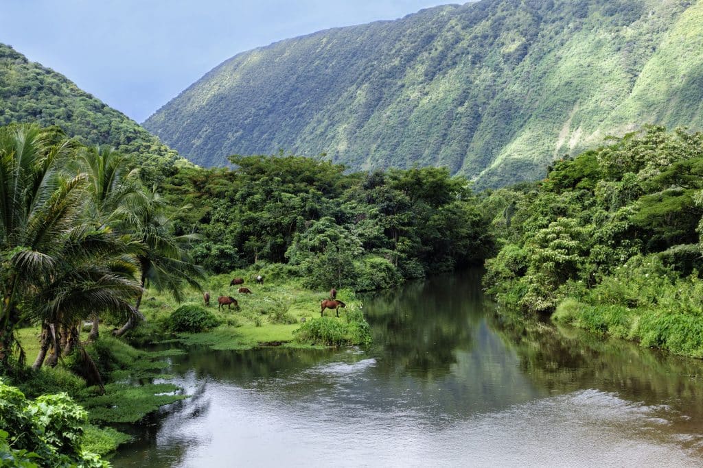 How to Make the Most of a Week on the Big Island