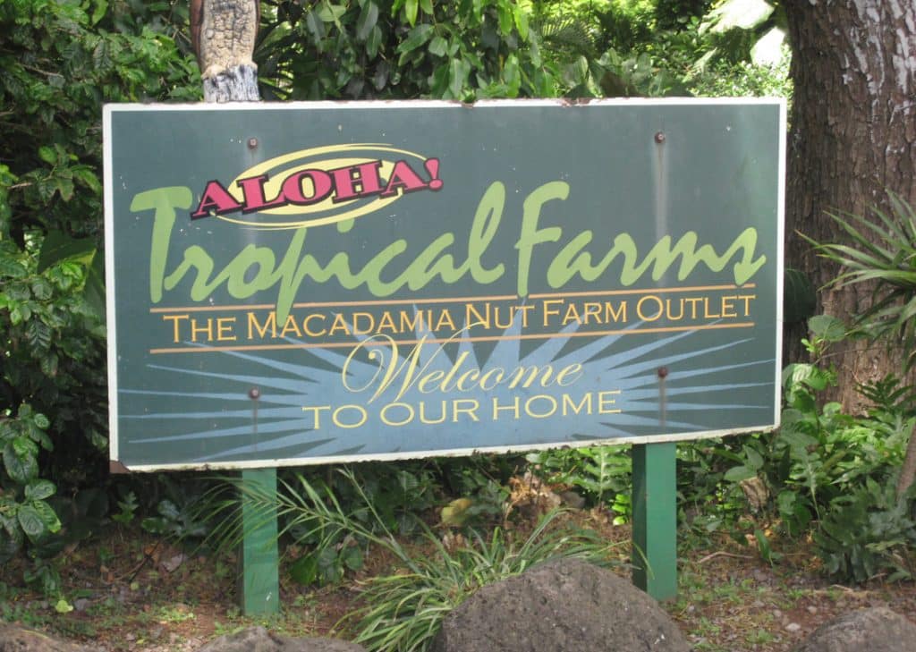 Big Island's Macadamia Nut Farms: A Tour Guide