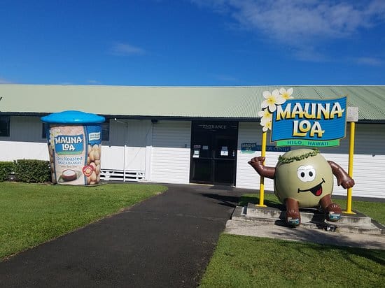 Big Island's Macadamia Nut Farms: A Tour Guide